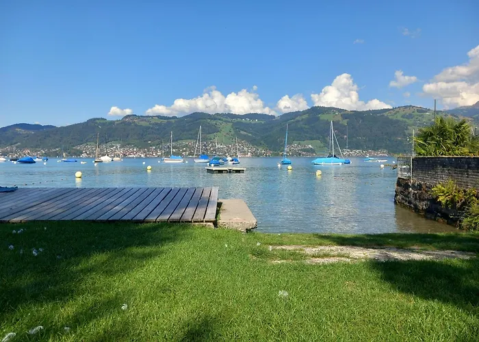 Swiss Apartment Thunersee