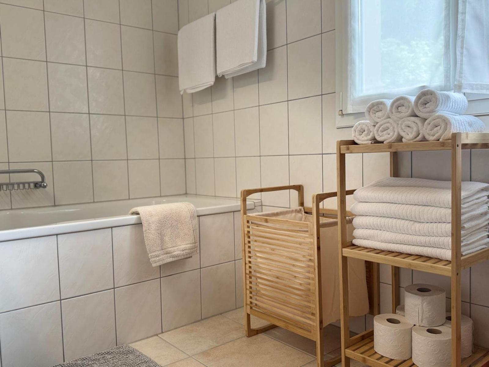 Swiss Thunersee Appartement